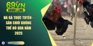 Đá Gà Trực Tuyến 69VN