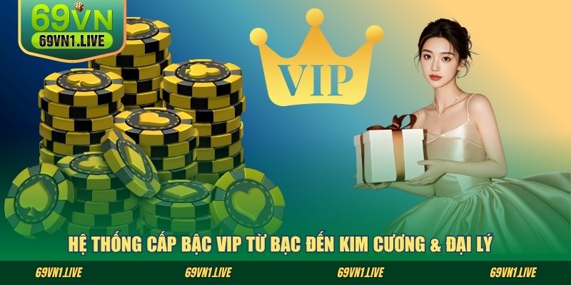 Hệ thống cấp bậc VIP từ bạc đến kim cương & đại lý
