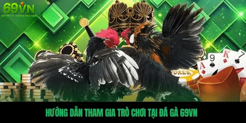 Hướng Dẫn Chơi Đá Gà 69VN Chi Tiết