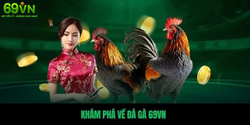 Khám Phá Đá Gà 69VN Hấp Dẫn Và Kịch Tính 