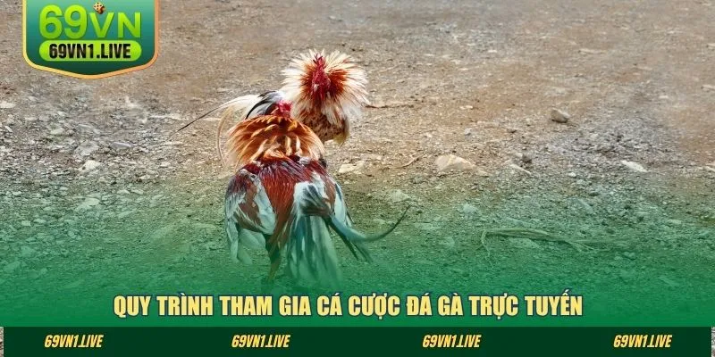 Quy trình tham gia cá cược đá gà trực tuyến 